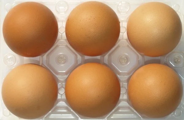 Foto delle uova — Foto Stock