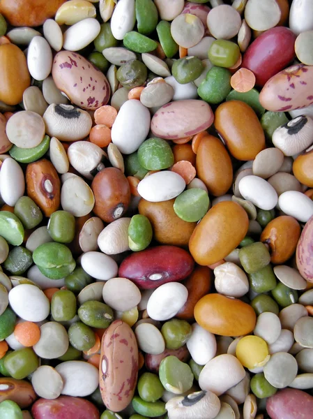 豆サラダ — ストック写真