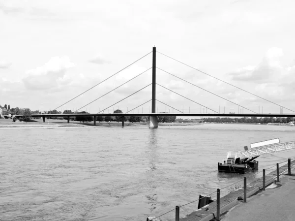 Rhein — Stockfoto