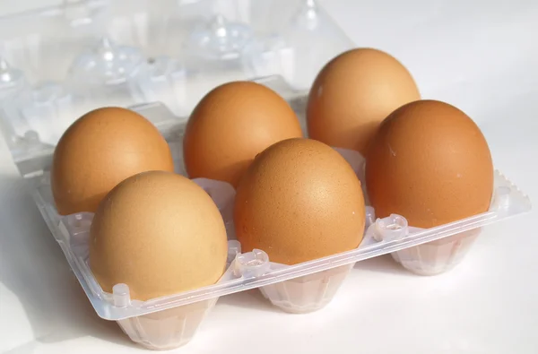Eieren foto — Stockfoto