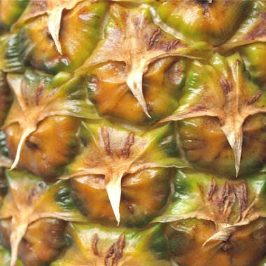 ananas resim