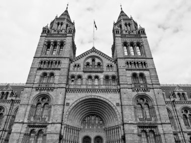Doğal Tarih Müzesi, Londra, İngiltere