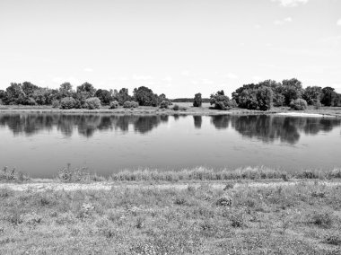 River Elbe