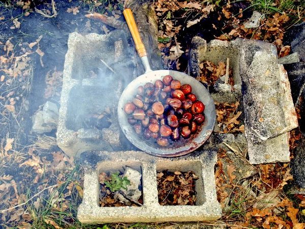 Foto barbecue — Foto Stock