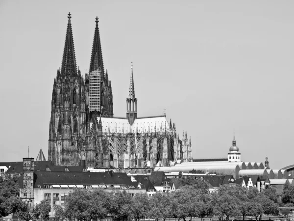 쾰른 돔 — 스톡 사진