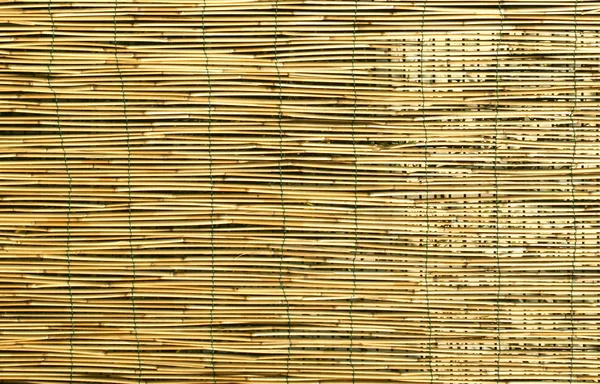 Fondo de bambú — Foto de Stock