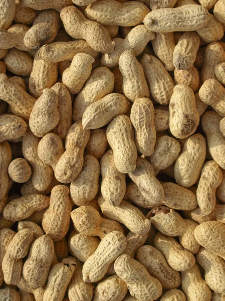 Peanuts picture — Stock Photo, Image