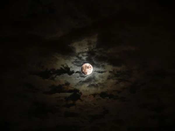 달 그림 — 스톡 사진