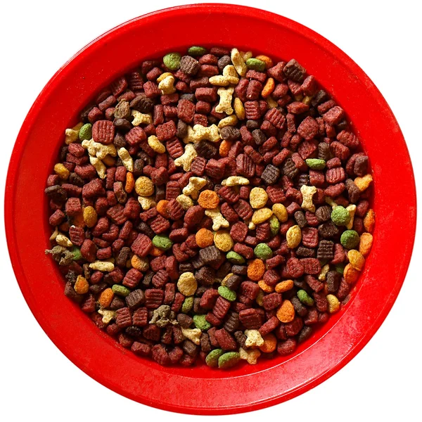 Cat food dish — Stock Photo, Image