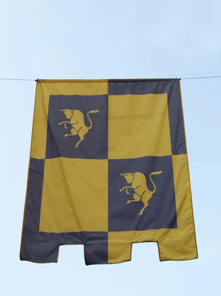 Turin flag — Stock Photo, Image