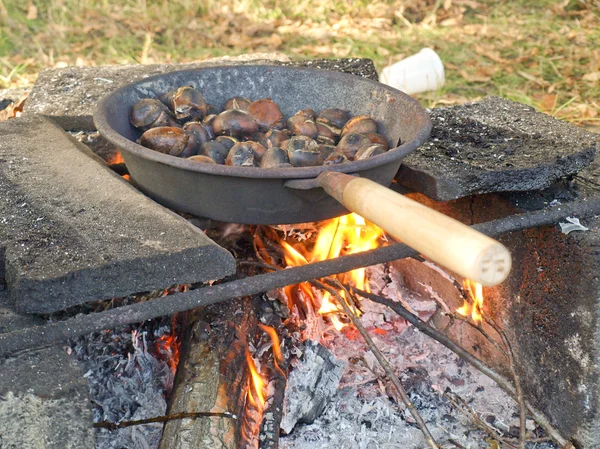 Foto barbecue — Foto Stock