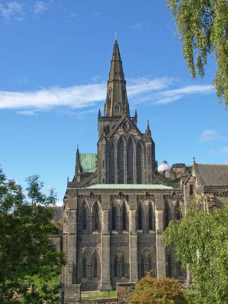 Glasgow Katedrali — Stok fotoğraf