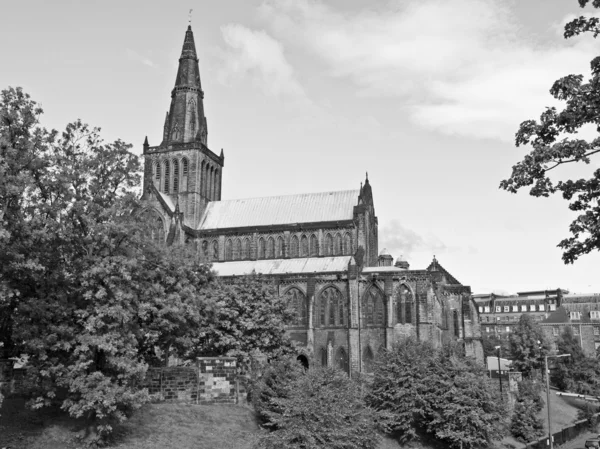 Glasgow katedrális — Stock Fotó