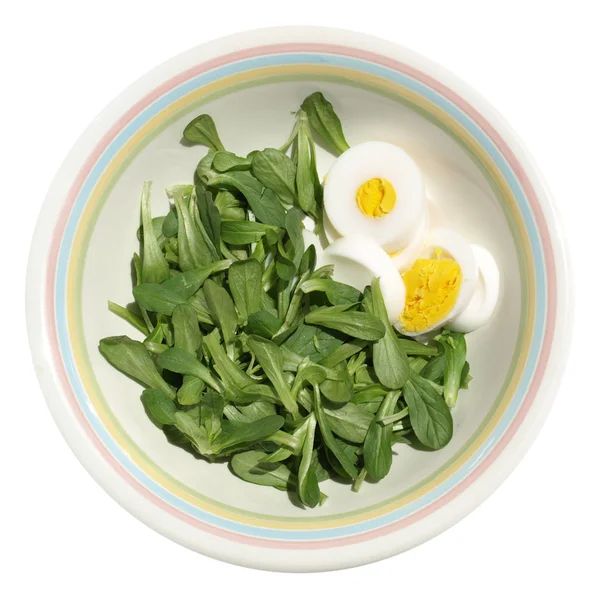 Salad picture — Stock Photo, Image