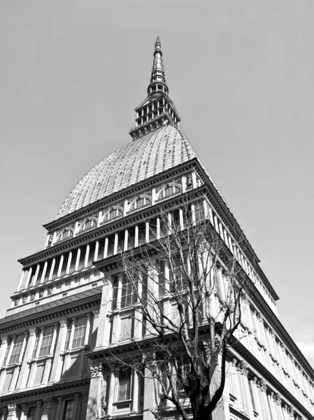 Talpa Antonelliana, Torino — Foto Stock