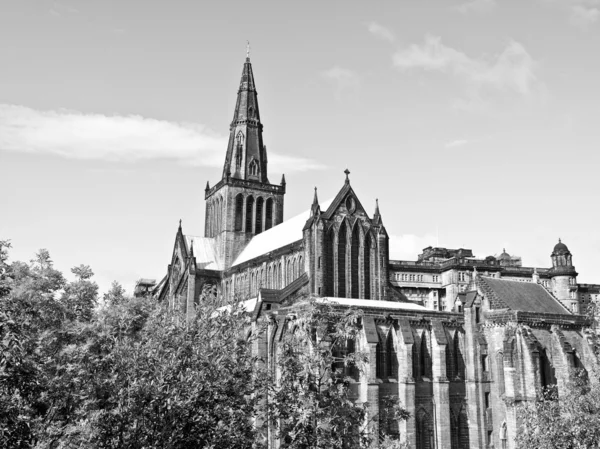 Glasgows katedral – stockfoto