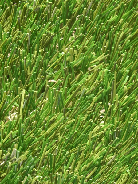 Suni çim — Stok fotoğraf