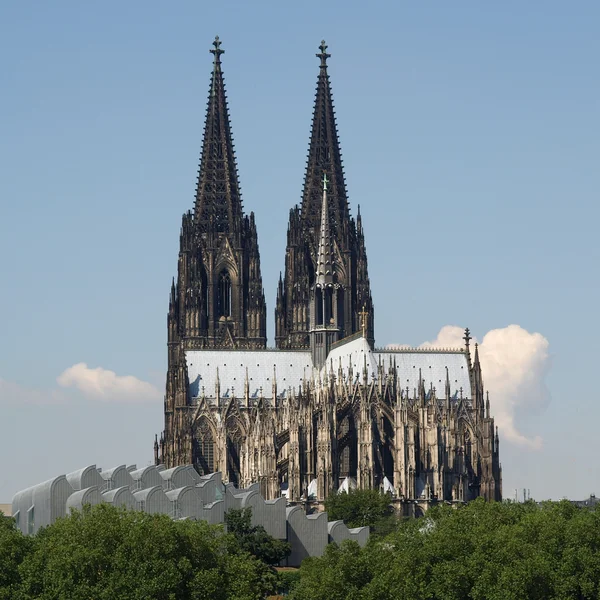 stock image Koeln Dom