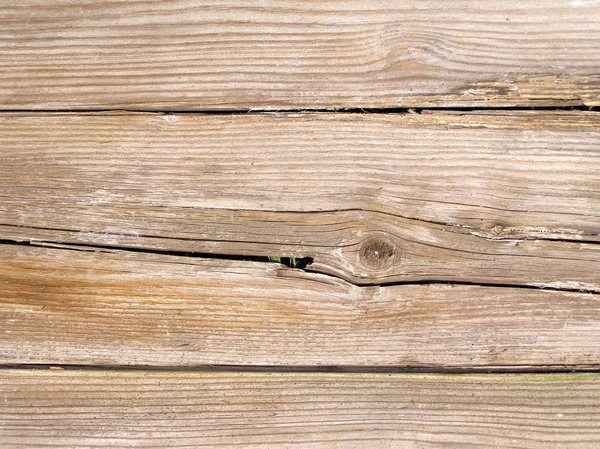 Wood picture — Stock Photo, Image