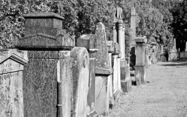 글래스고 묘지 — 스톡 사진