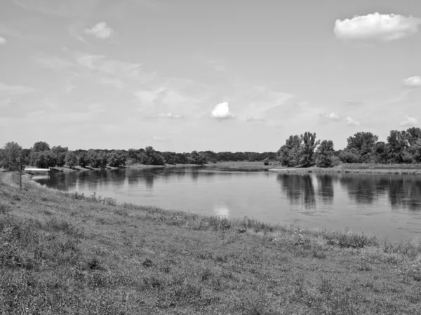 Elbe de rivière — Photo