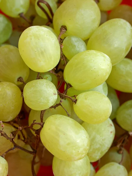 Immagine dell'uva — Foto Stock