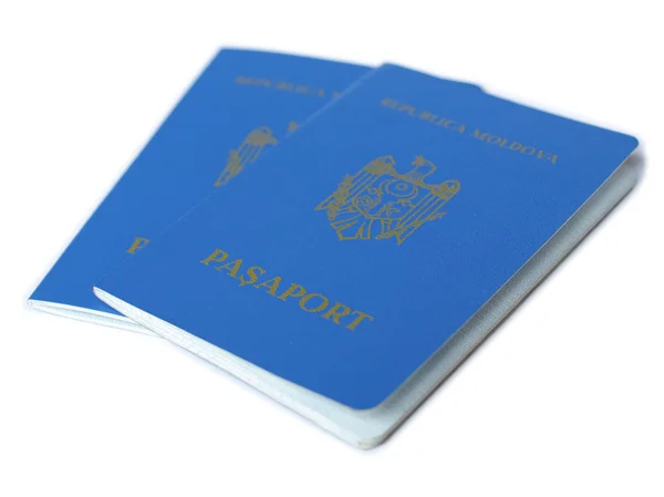 Passport picture — Stock Photo, Image