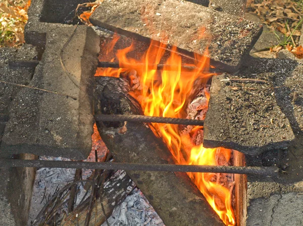 Barbecue foto — Stockfoto