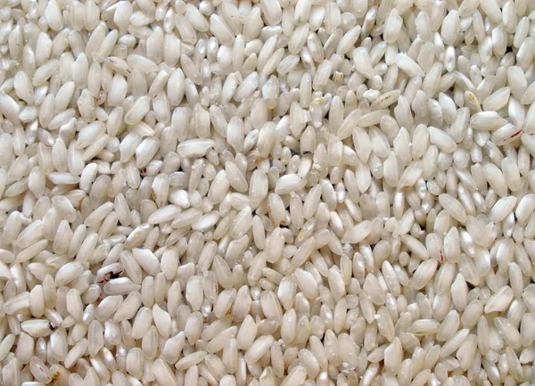 Рисовая картина — стоковое фото