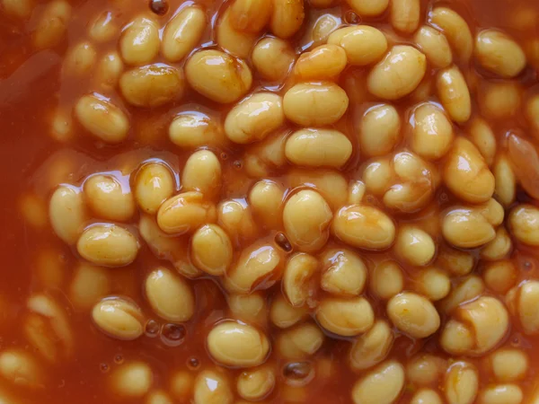 Pečené fazole — Stock fotografie