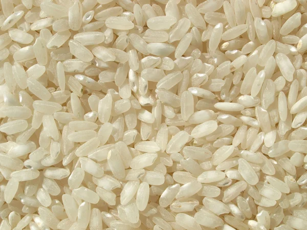 Imagem de arroz — Fotografia de Stock