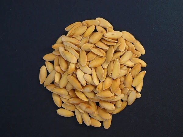 Семена дыни — стоковое фото