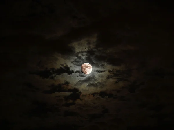 Moon picture — Stock Photo, Image