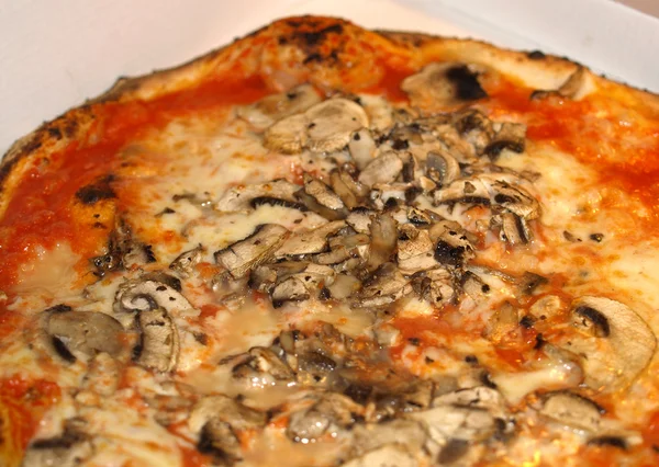 mantarlı pizza