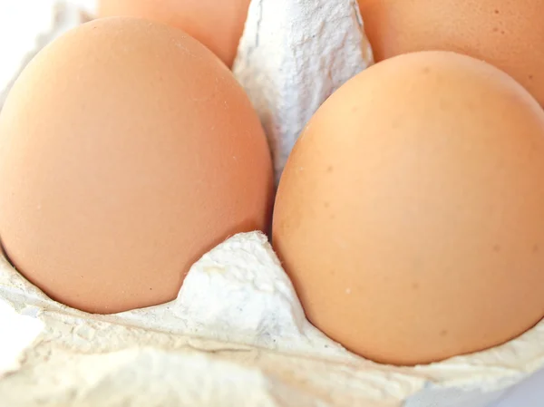 Eggs picture — Stock Photo, Image