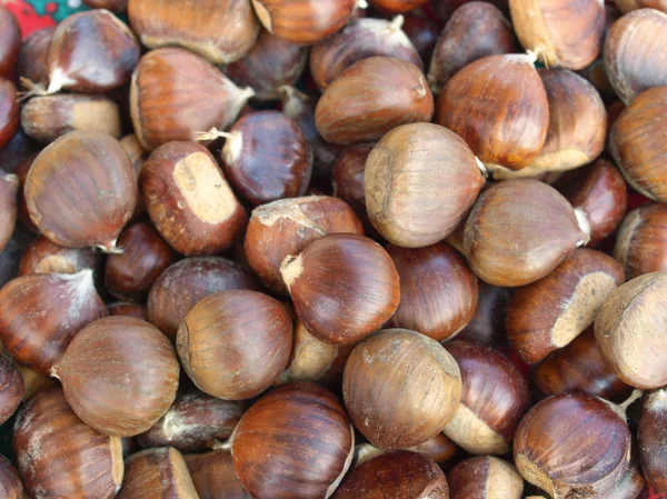 stock image Chestnuts picture