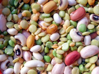 Beans salad clipart