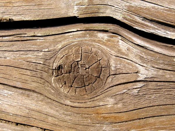 Деревянная фотография — стоковое фото