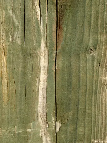 Деревянная фотография — стоковое фото