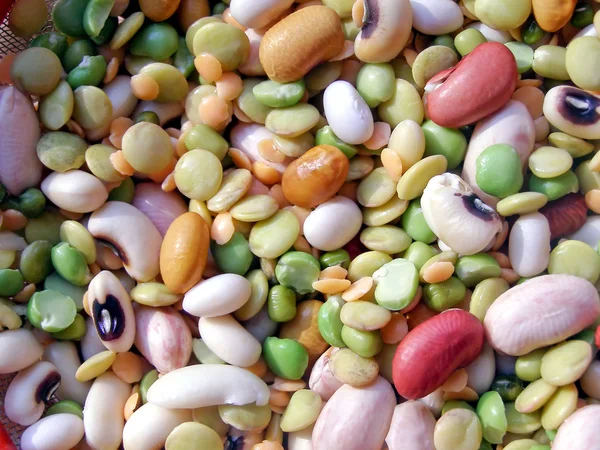Beans salad — Stock Photo, Image