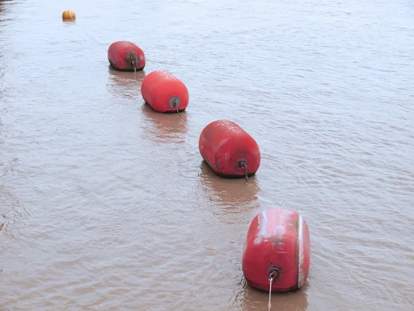 stock image Life buoy in water