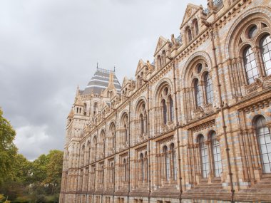 Doğal Tarih Müzesi, Londra, İngiltere