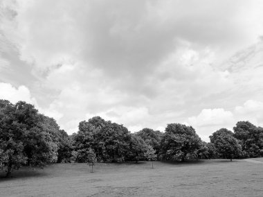 Kensington gardens, Londra