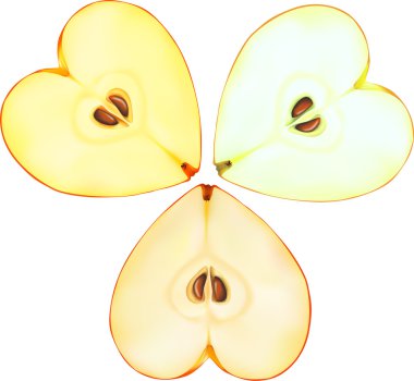 Apples clipart