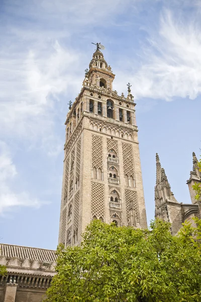 Katedrála v Seville — Stock fotografie