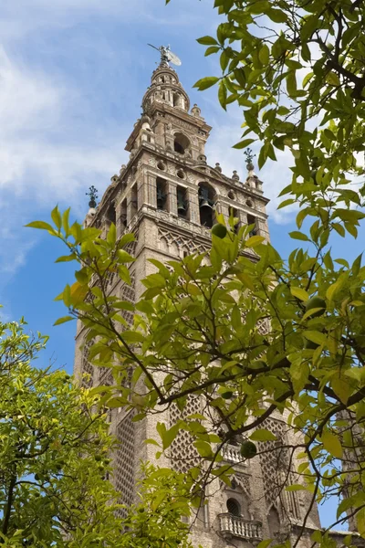 Catedral de Sevilla —  Fotos de Stock