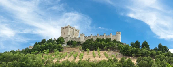 stock image Castle of Peñafiel in Valladolid, Spain