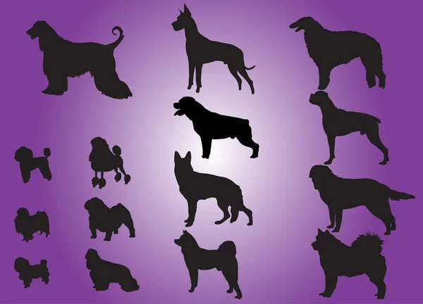 Psi siluette — Stockový vektor
