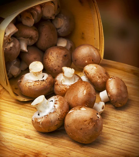 Champignon mushroom, brown variety — Stock Image Champignon mushroom, brown variety Royalty Free Stock Images