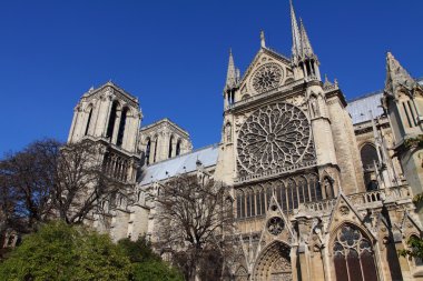 Notre dame Katedrali - paris